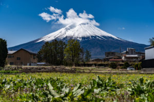 郷土料理体験教室 富士家