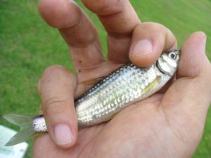 体験交流センターゆめの