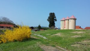 下関市豊田農業公園 みのりの丘