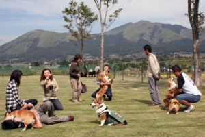 道の駅 あそ望の郷くぎの