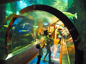 道の駅 みなかみ水紀行館