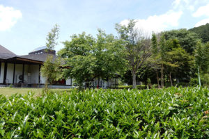 奥久慈茶の里公園