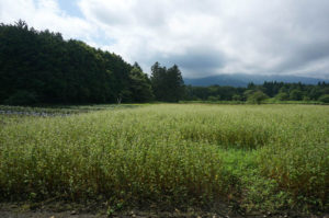 そばファーム高林坊