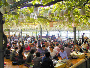 小松沢レジャー農園