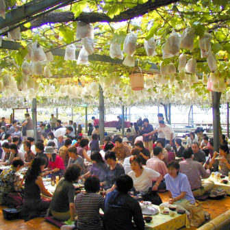 小松沢レジャー農園