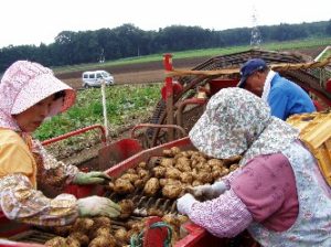 倉持農園サービス