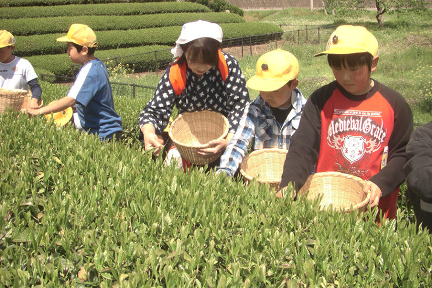 奥久慈茶の里公園