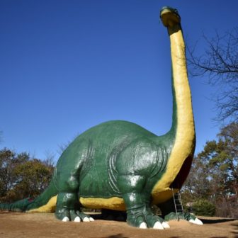 水戸市 森の交流センター