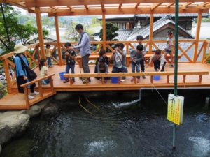 小松沢レジャー農園